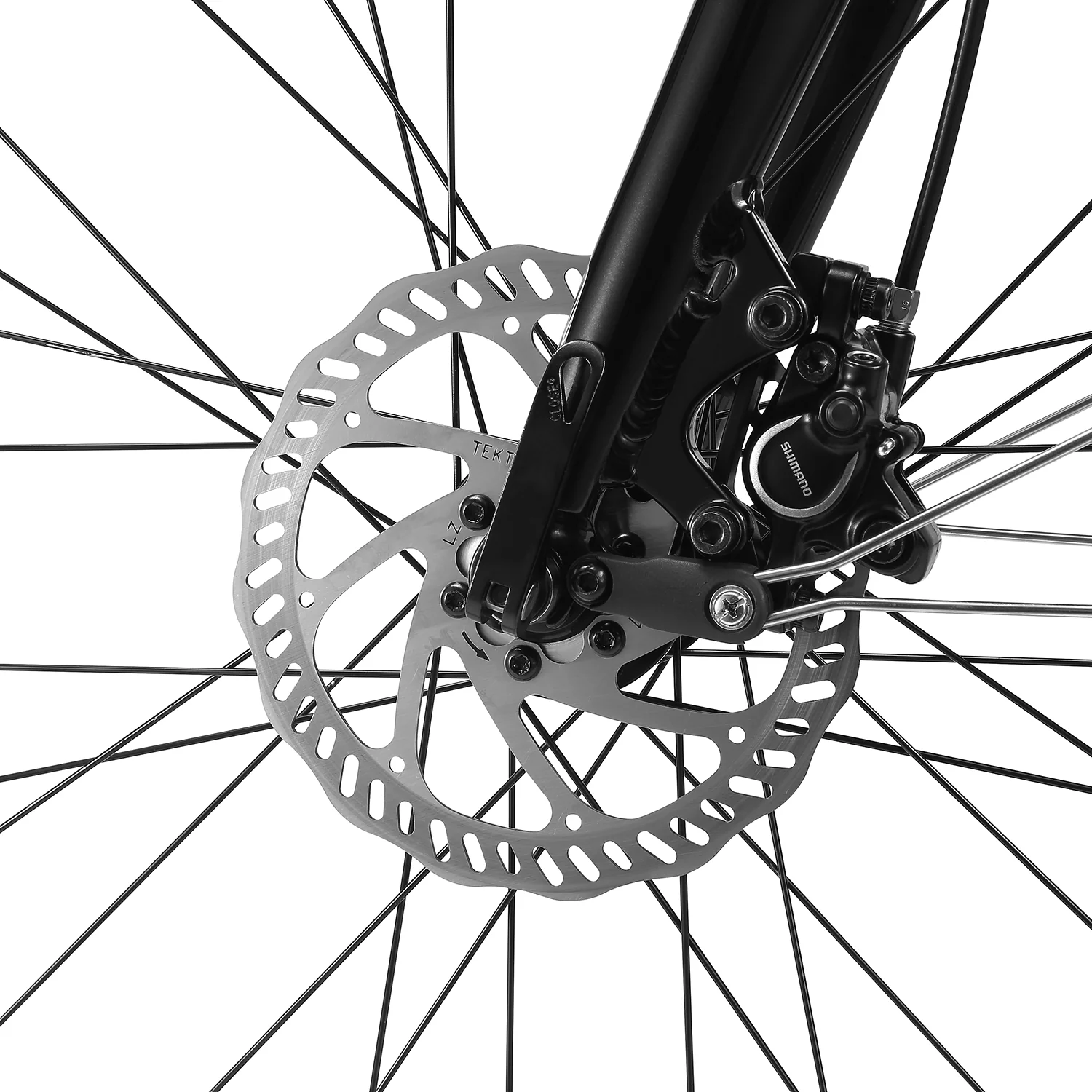 E-Cruz Ladies - Image 9